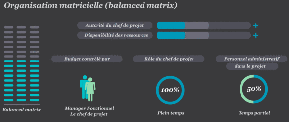 Organisaton matricielle (balanced matrix)